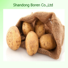 2015 Chinesische Neue Kartoffel mit guter Qualität